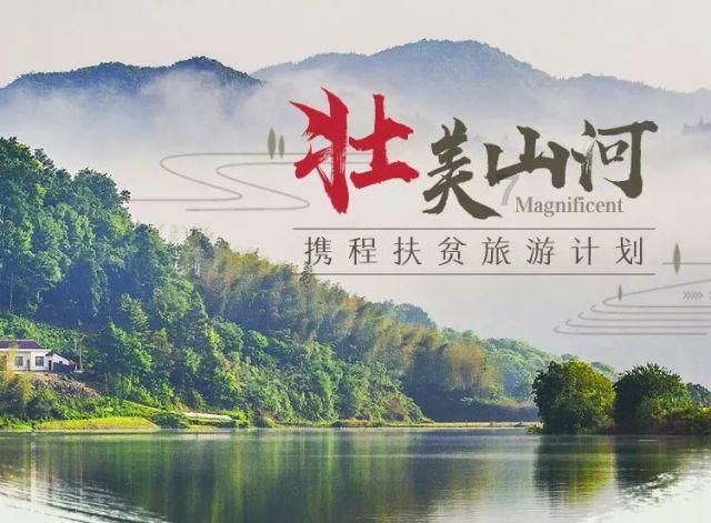 探索知识星球平台，尽在黄晓明和杨颖离婚了吗？